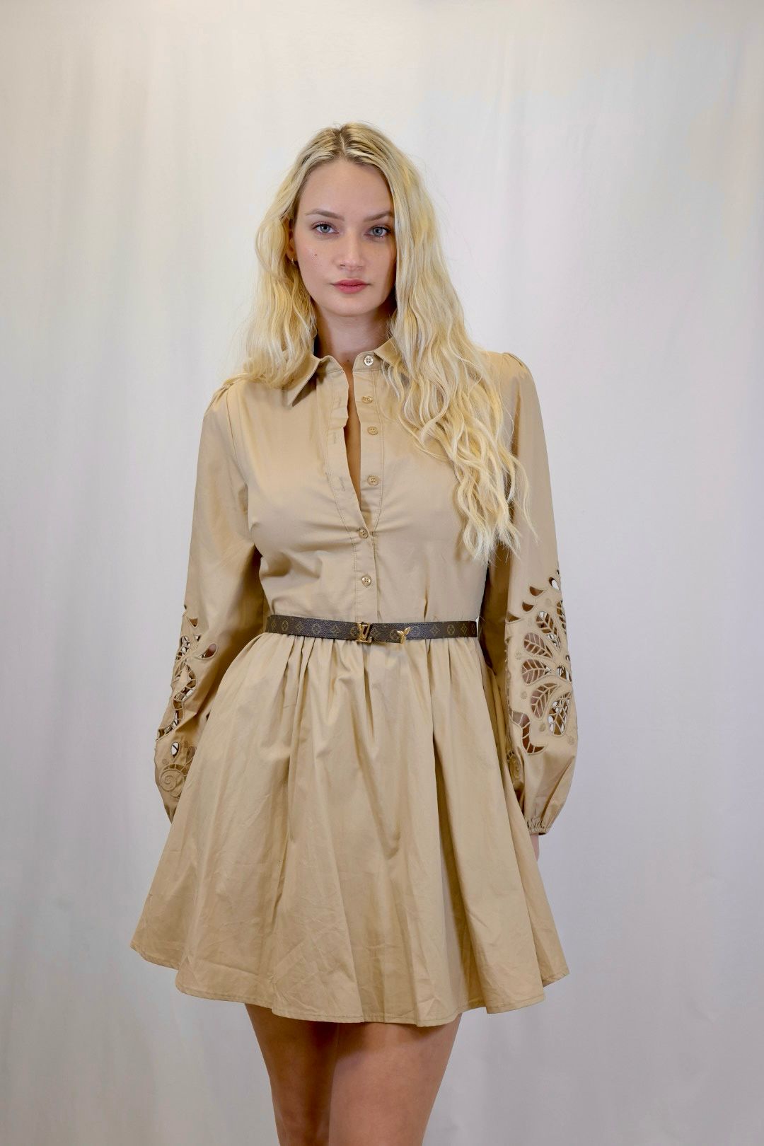 Kaily Mini Dress